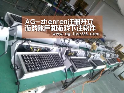 AG真人案例展示一